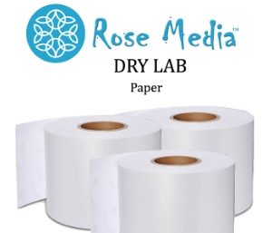 Rose Media DL Paper